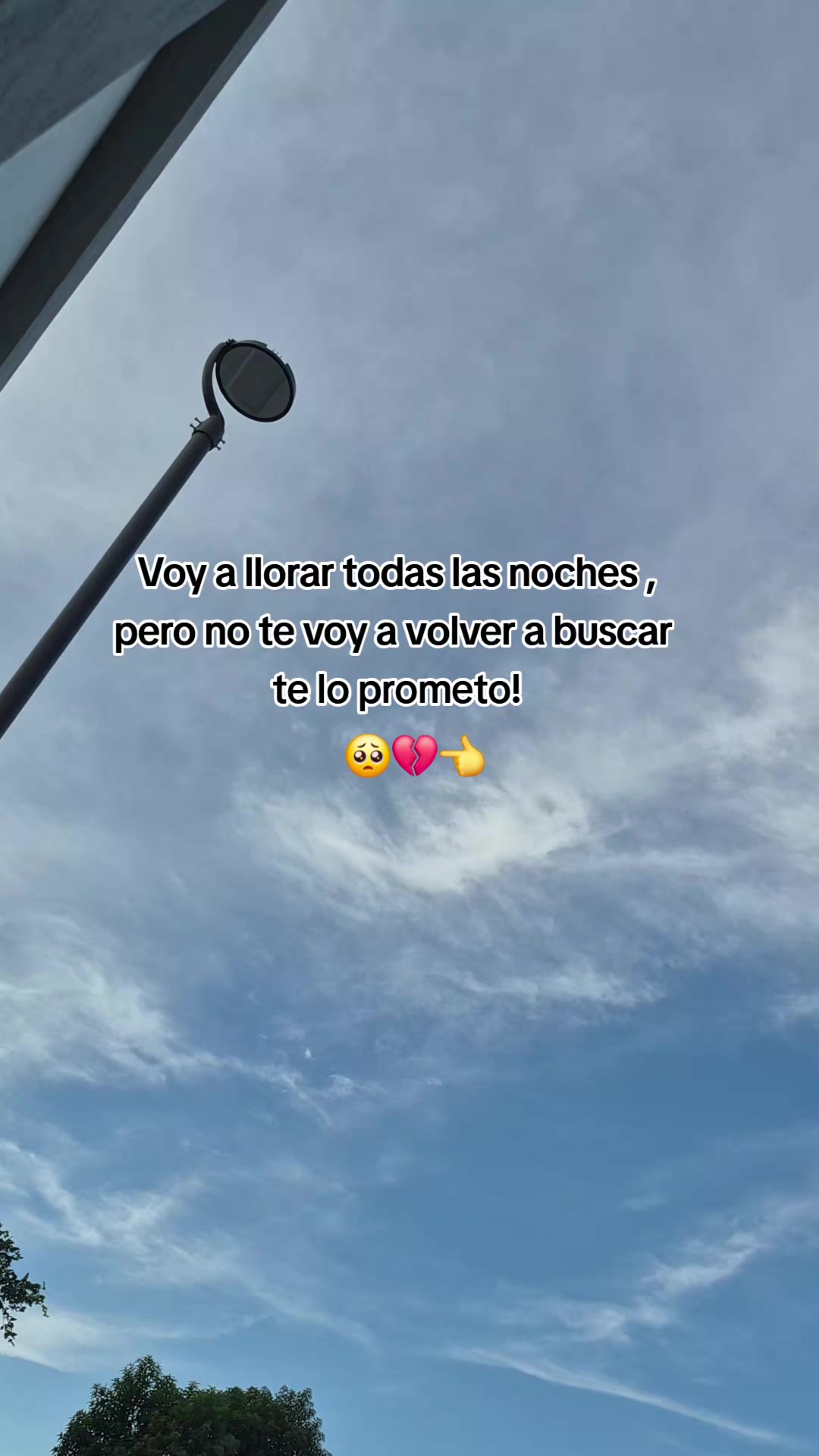 @Plomo infinito🗽