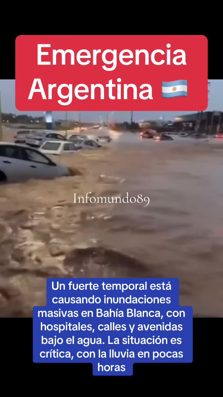 @Infomundo89