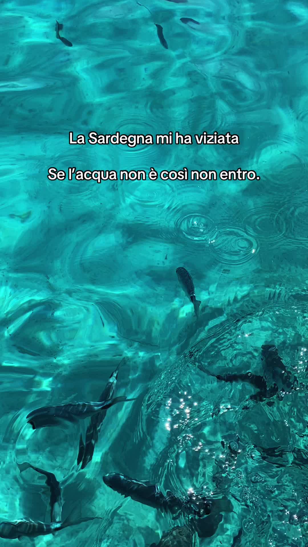 @LaVero