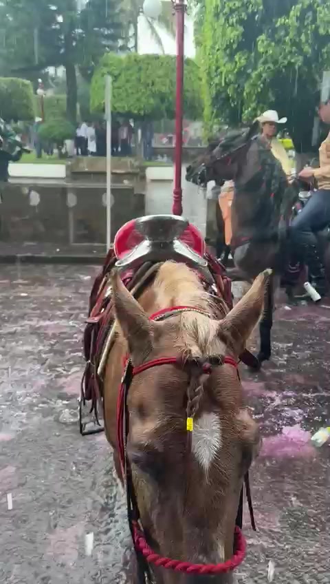 @Julio César