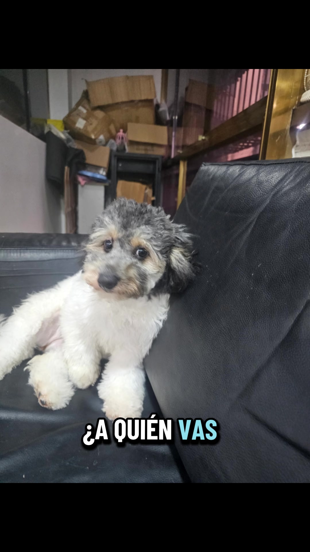 @Marisol Moreno