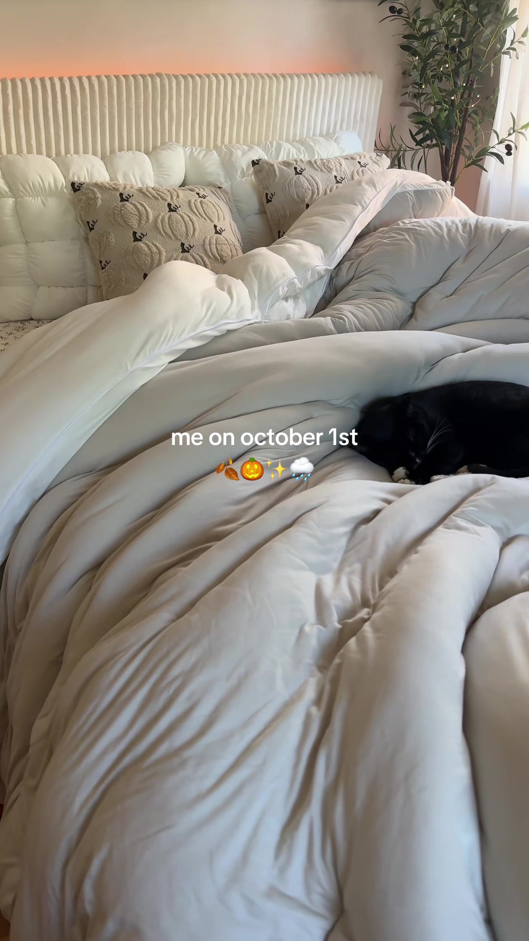 @Mellow Sleep