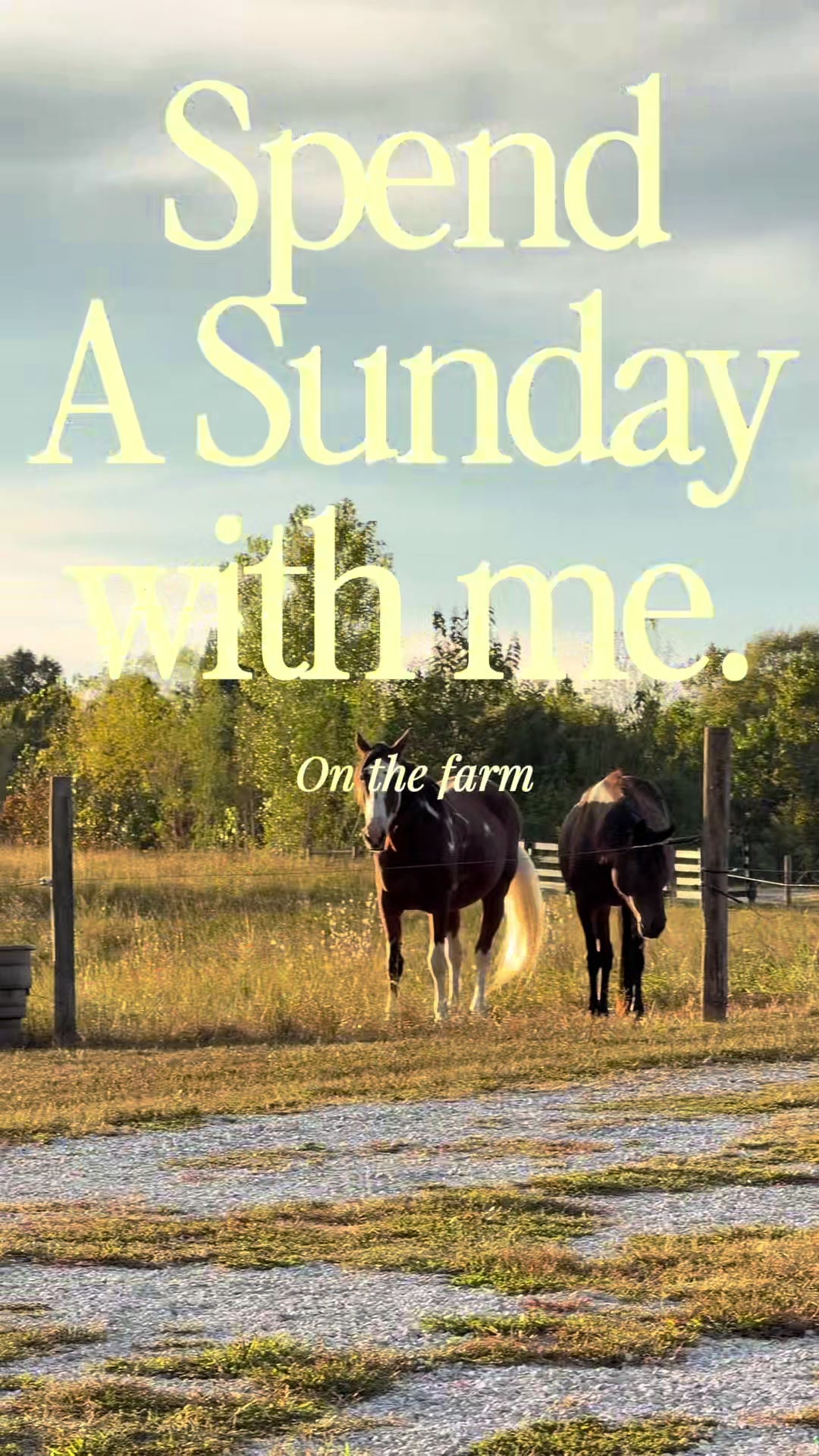 @Ally | Farm Wife