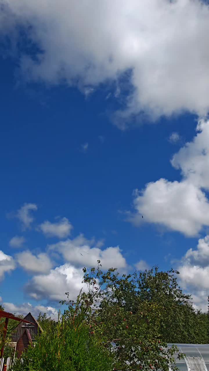 @Алеся Романюк