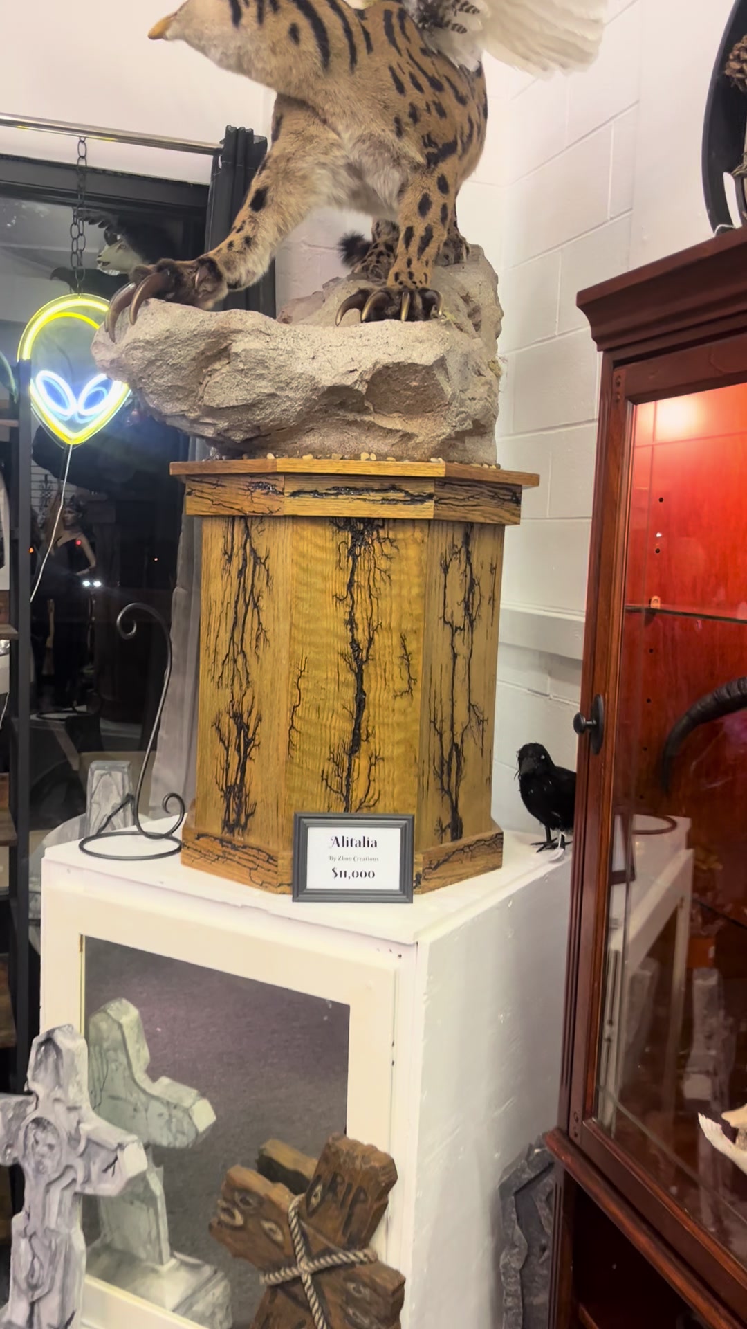 @Rocky Mountain Punk Nature Art