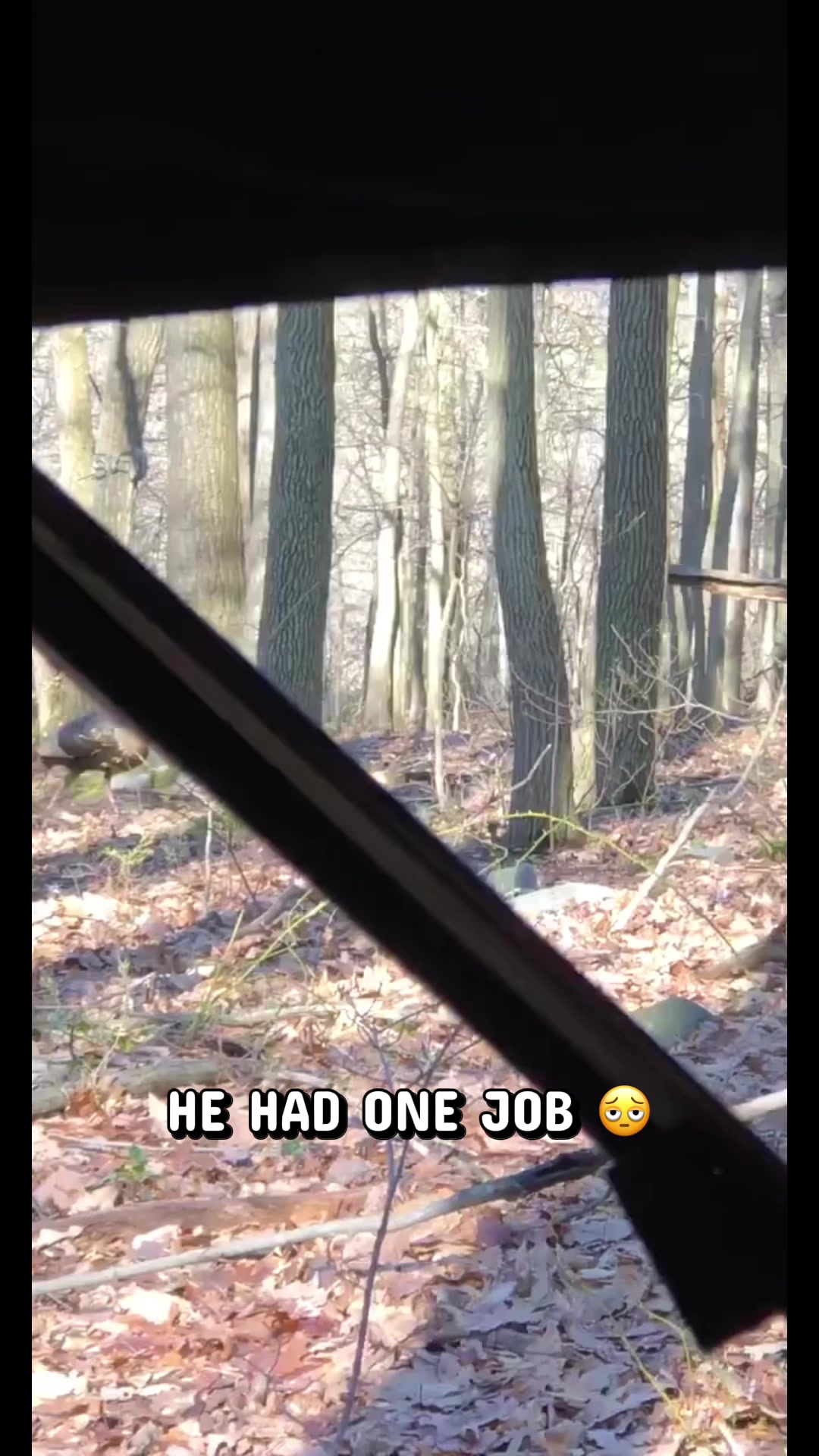 @Lilwolf