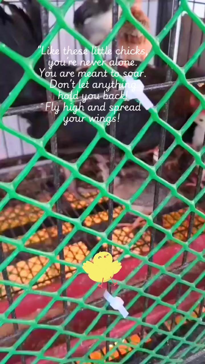 @***Mhariya