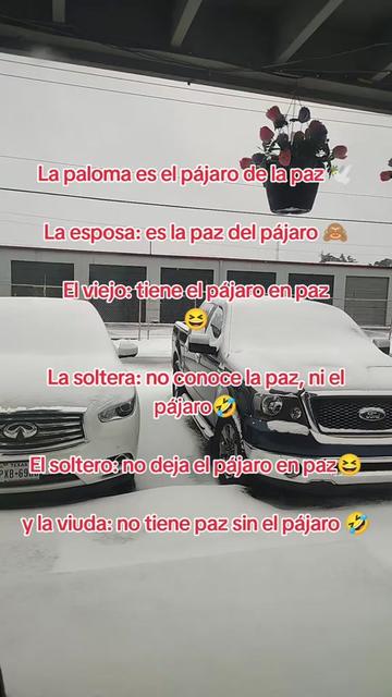 @💦💧🌬️Tito Camus Acuario 🌊🫧