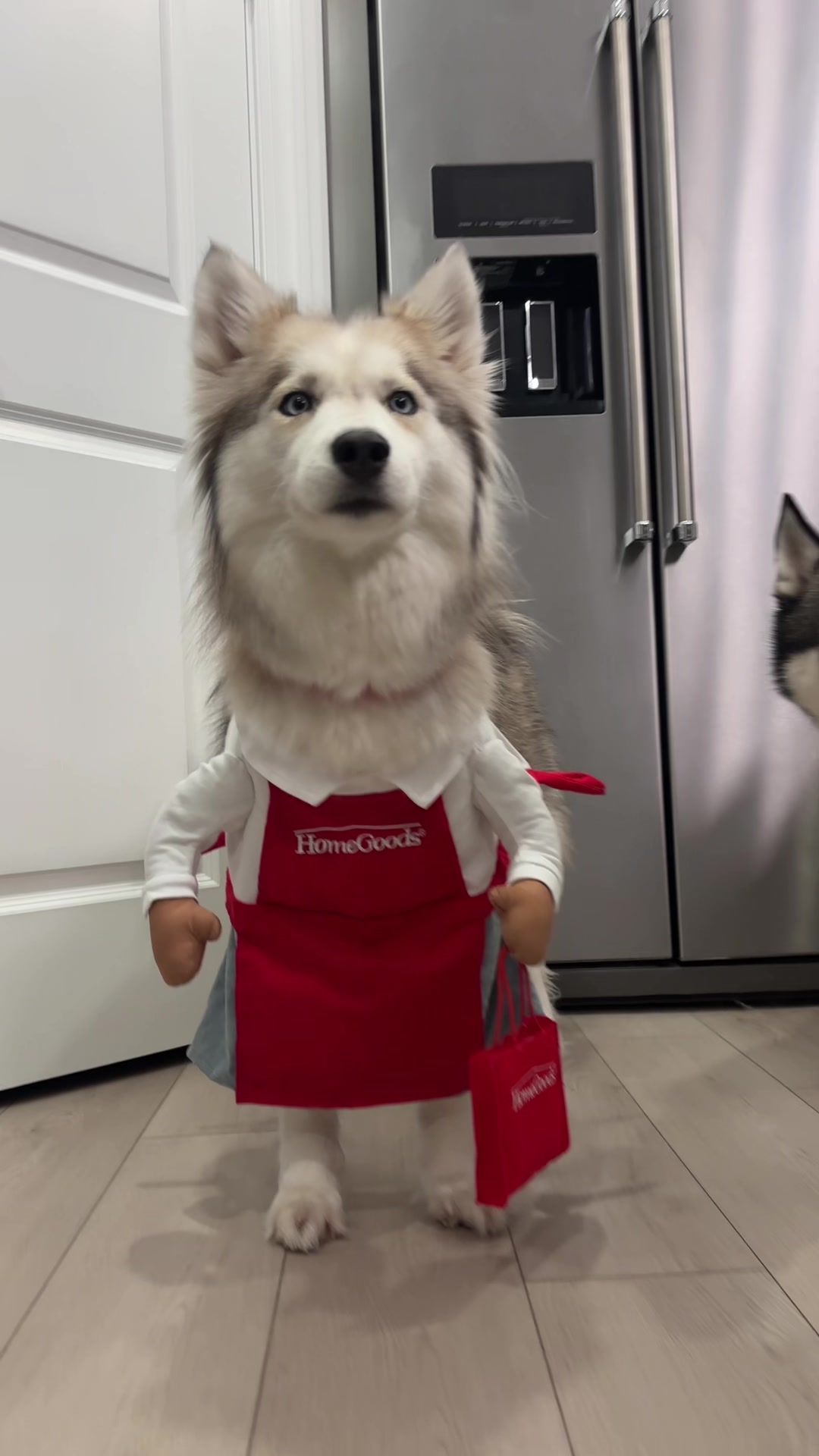 @lifewith2huskies