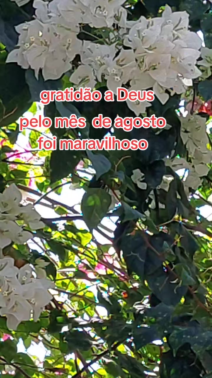 @Maria Jos&eacute; Batista d