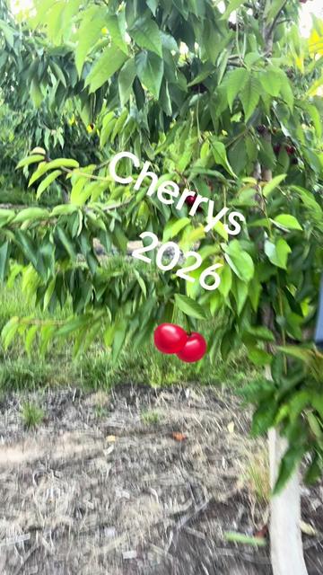 @Chaparrita79&hearts;️&hearts;️