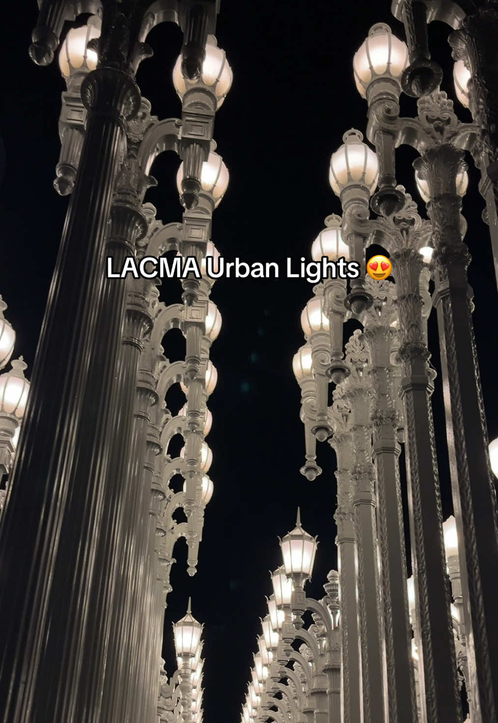 @ann.michelleeeee