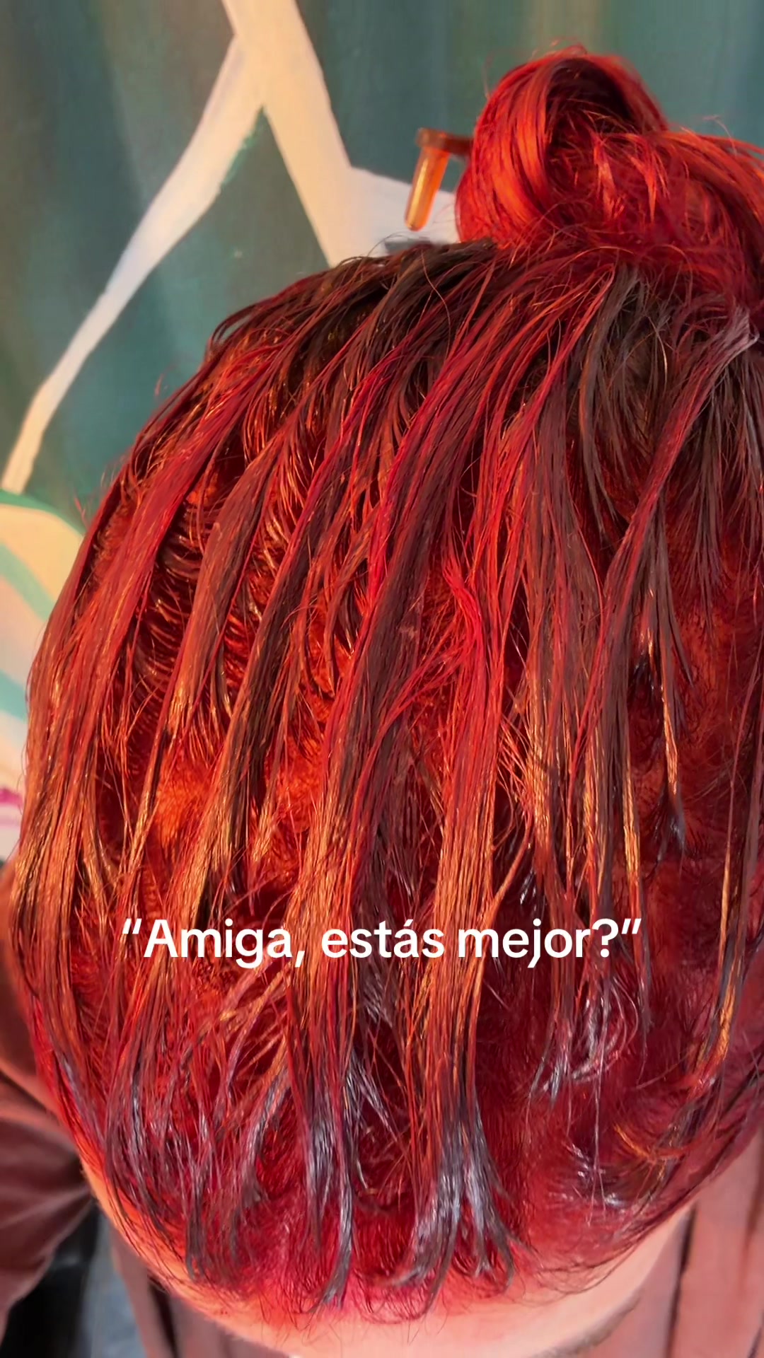 @Paula Bolzan