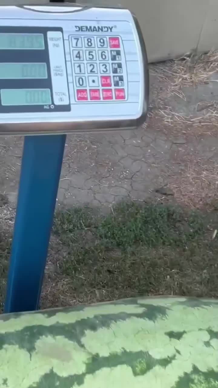 @wild_animal123