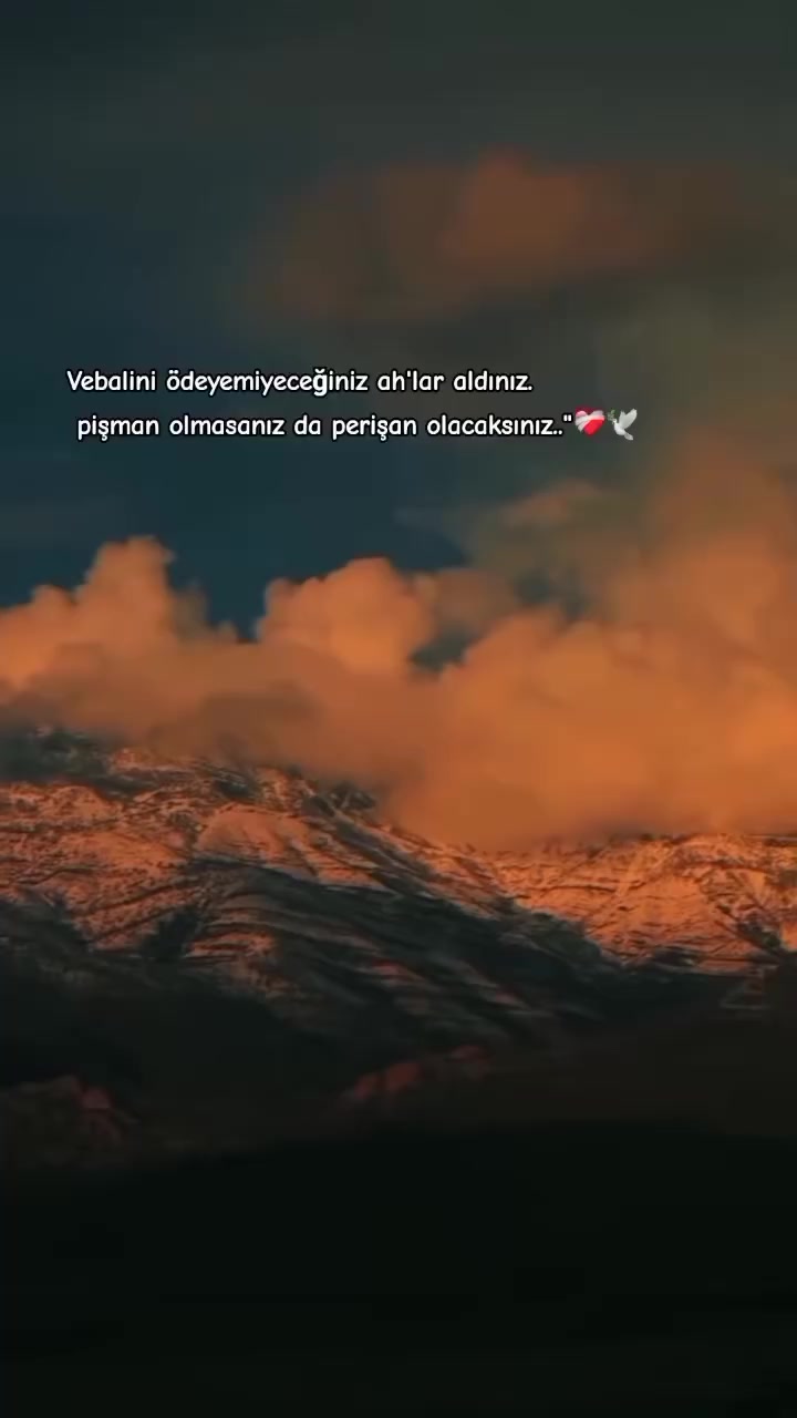 @mavigöl
