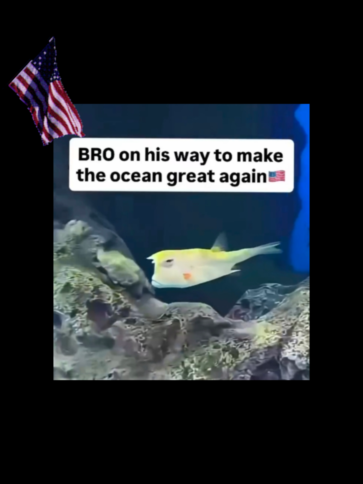 @🦅StreamWeaver76.2🇺🇲