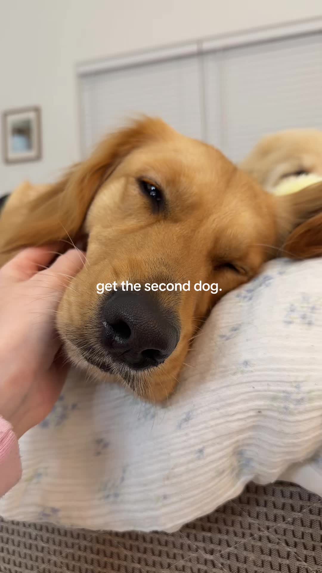 @Jordyn