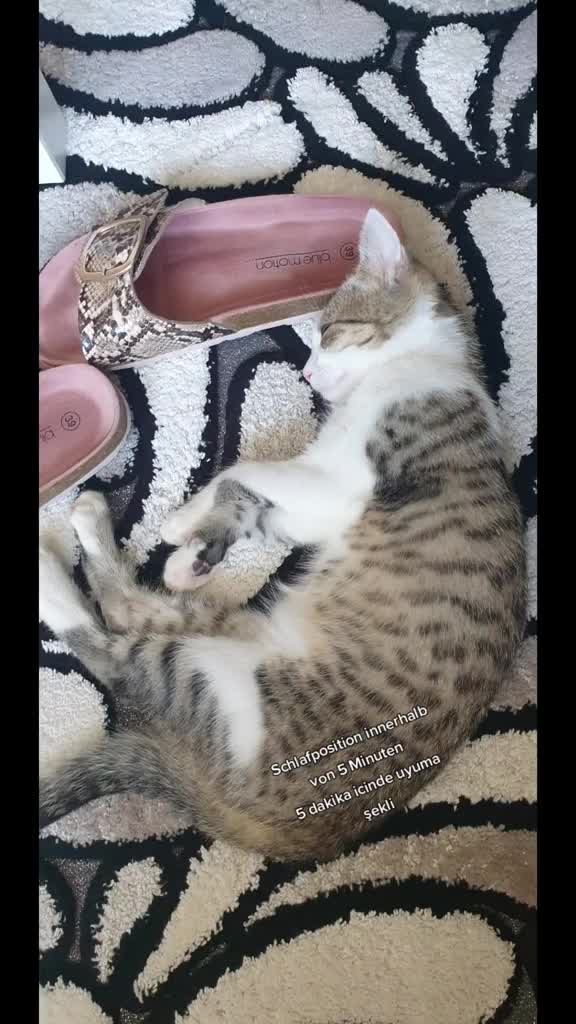 @Minnoş❤💙61