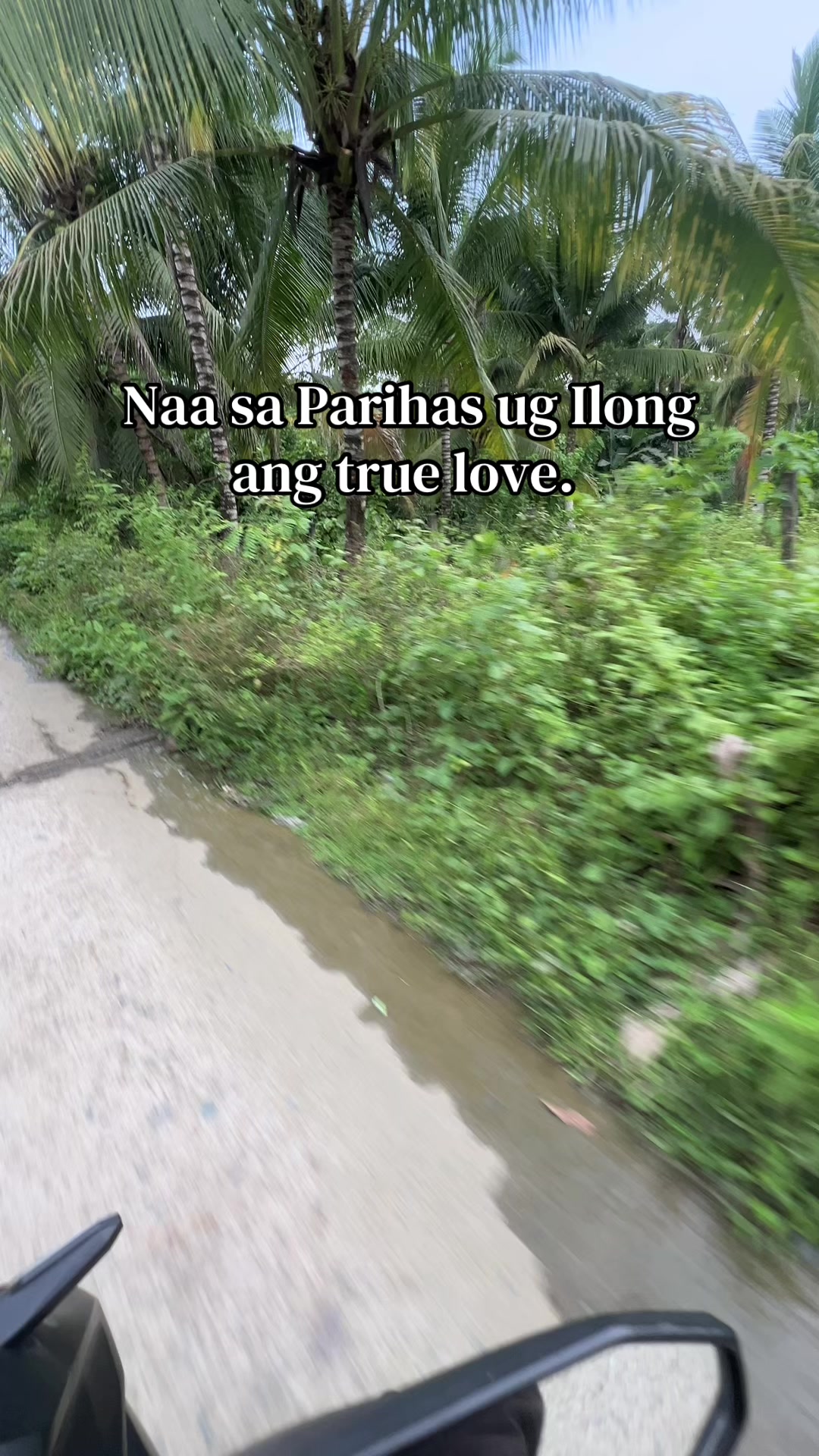@TAGA AURORA NI BAY