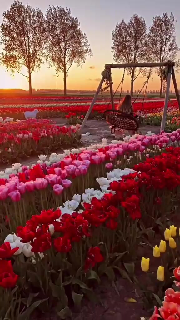 @Ali 🙈🌍💞❤️🩹❤️🩹