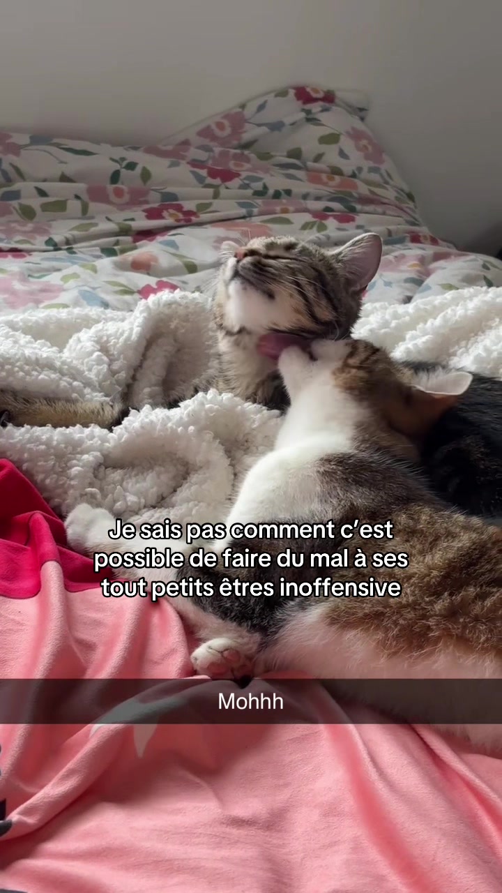 @Noélie