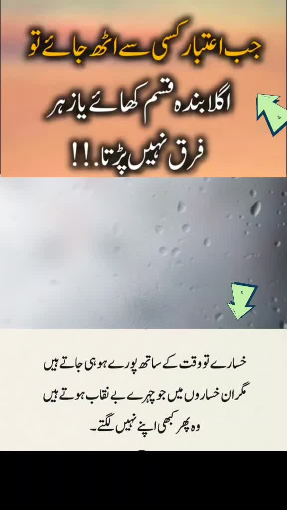 @shakir