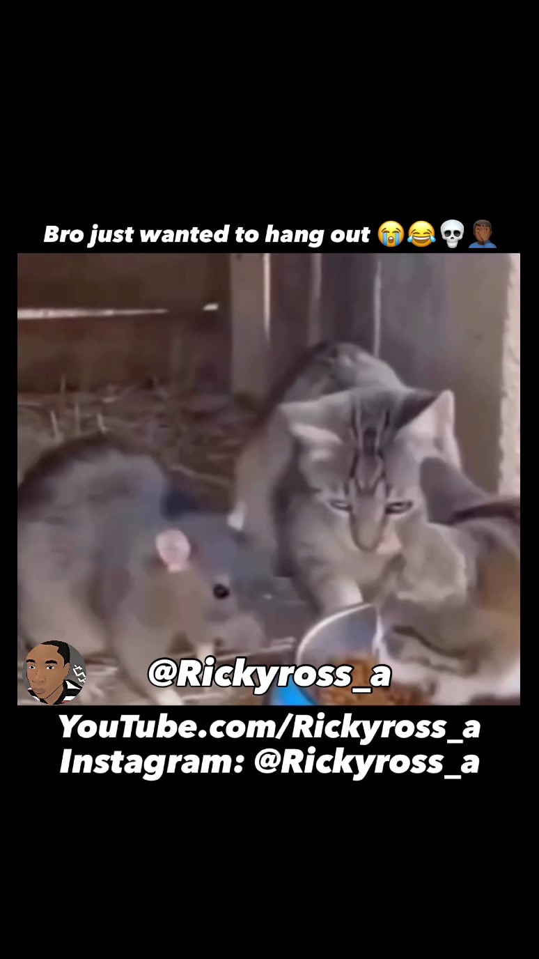 @Rickyross_a