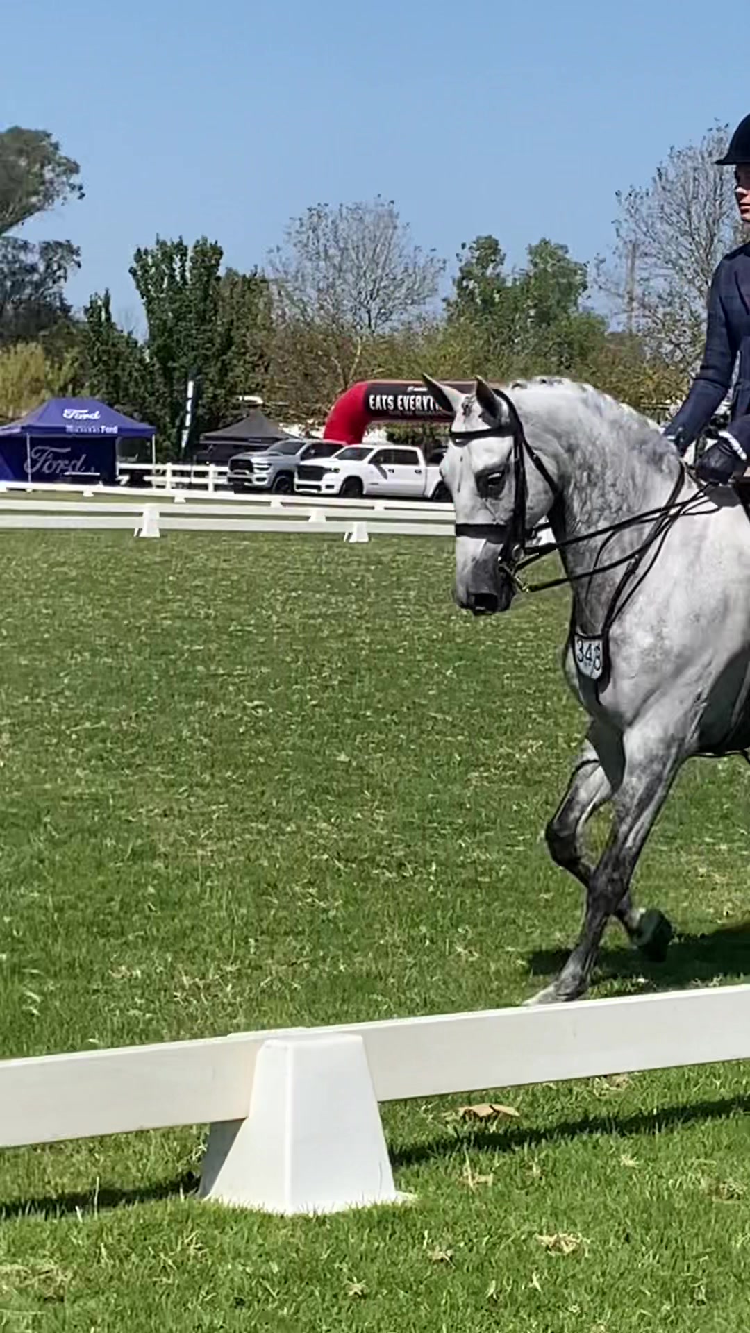 @AR show horses