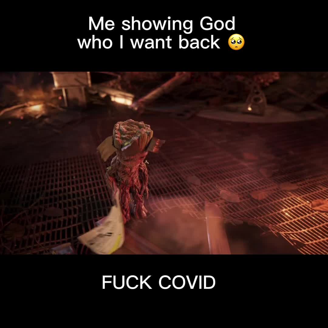 @Chel