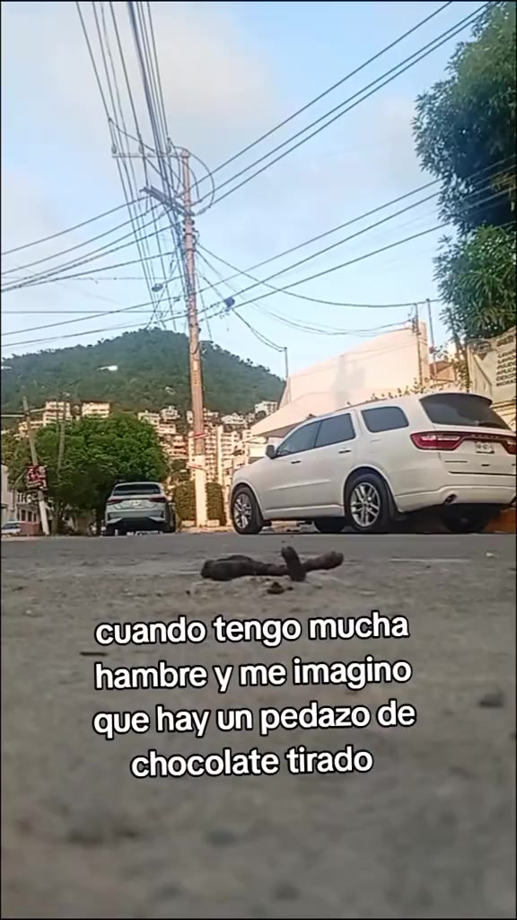 @tio_moyka3