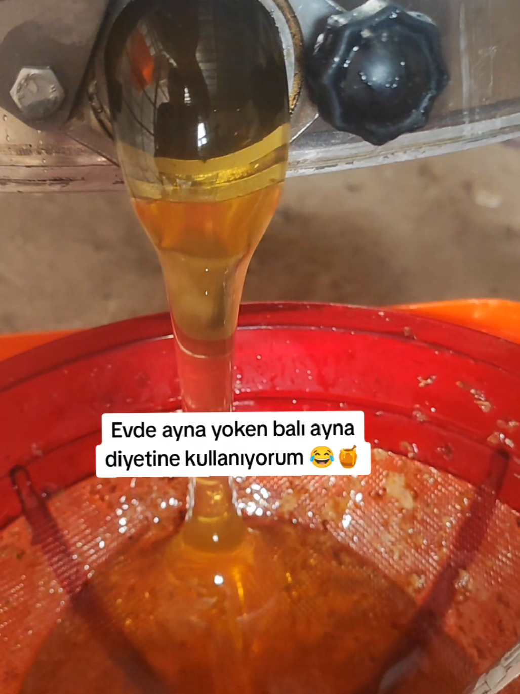 @Doğan Arıcılık 🐝