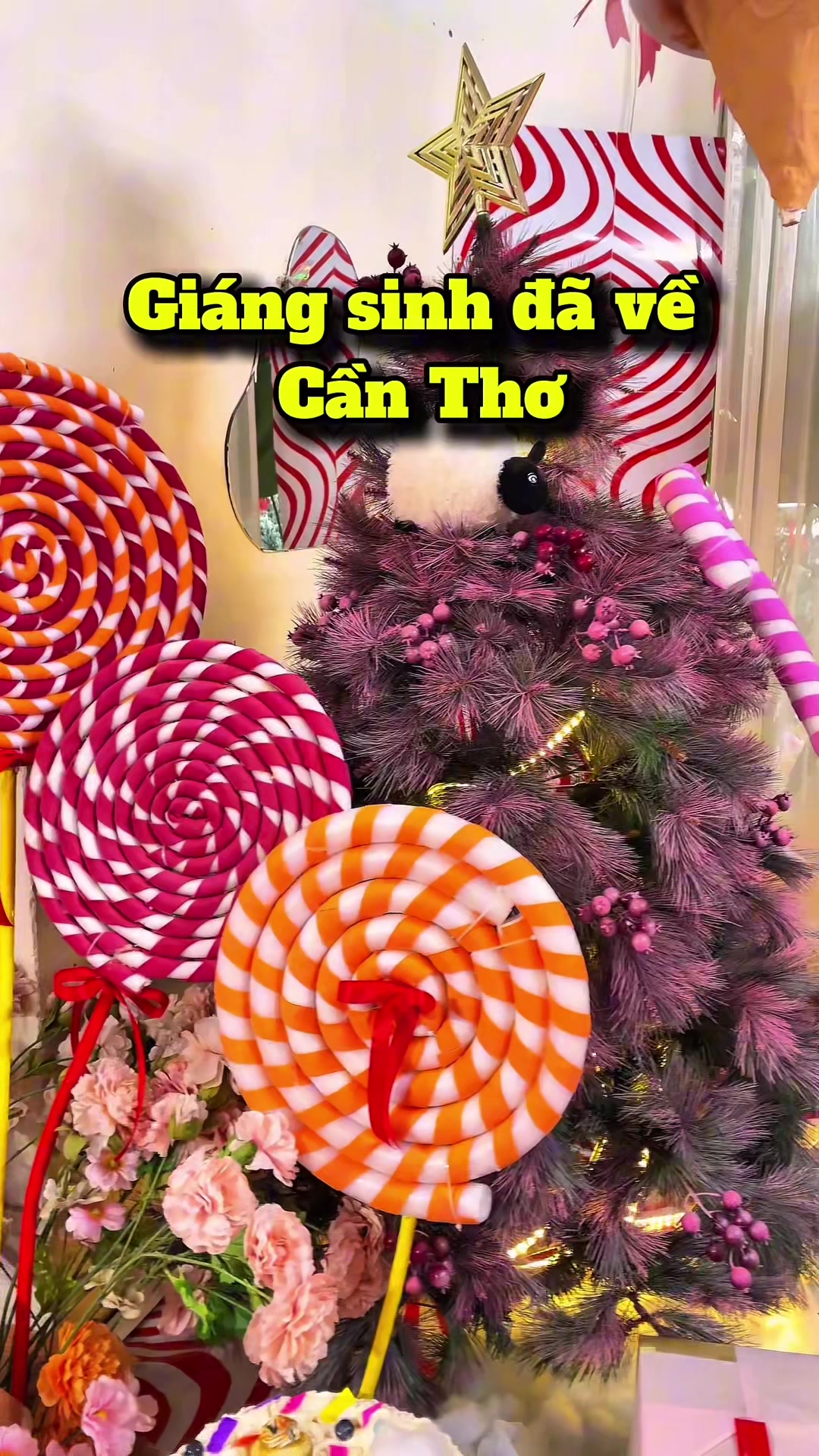 @Tiệm trà Dreamer’s Land