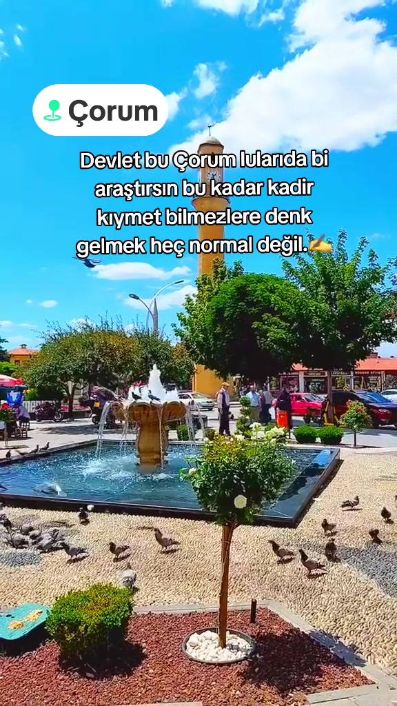 @Avrupadaki_Corumlular_19