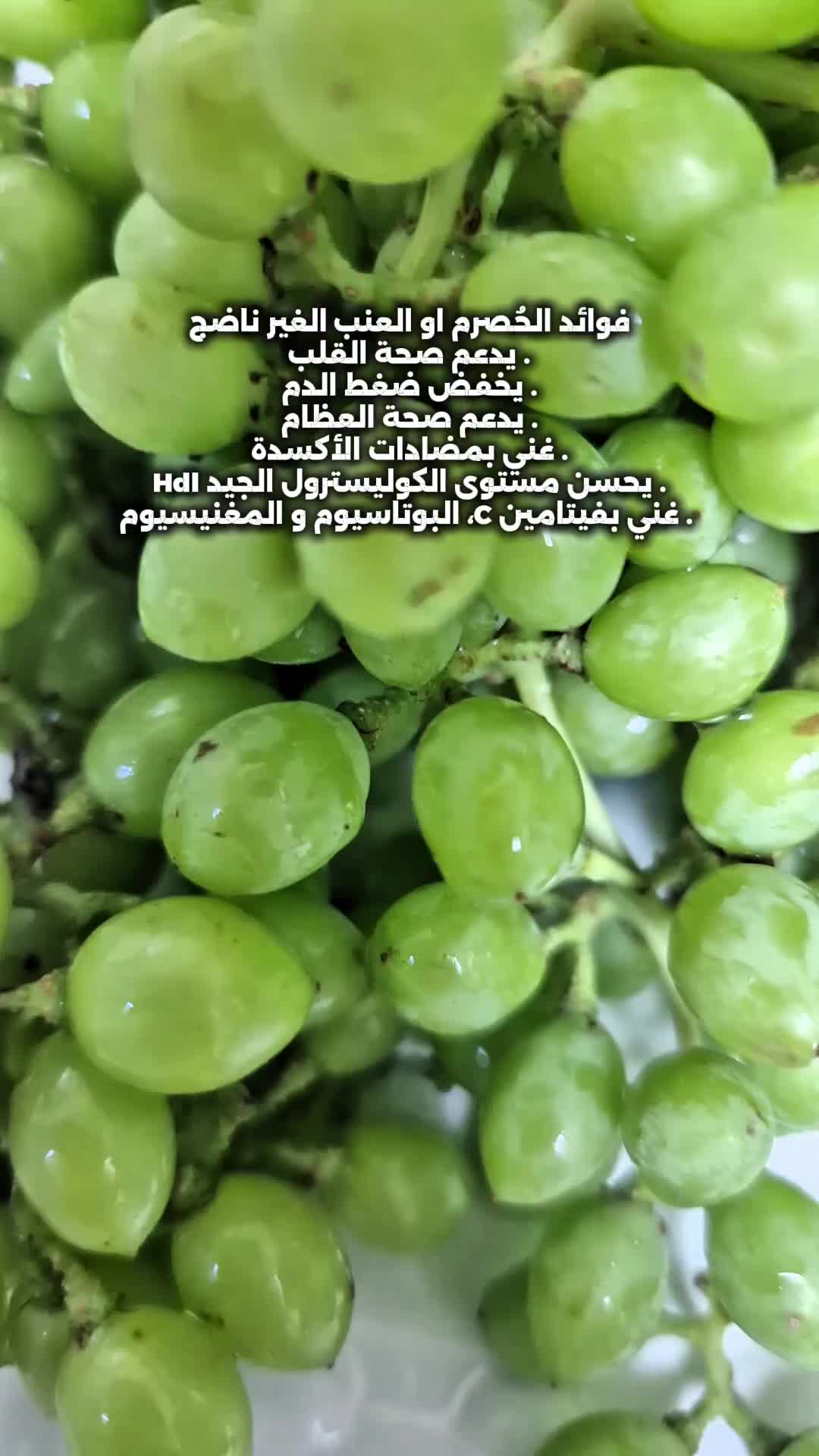@coach_hanadi_atwwa