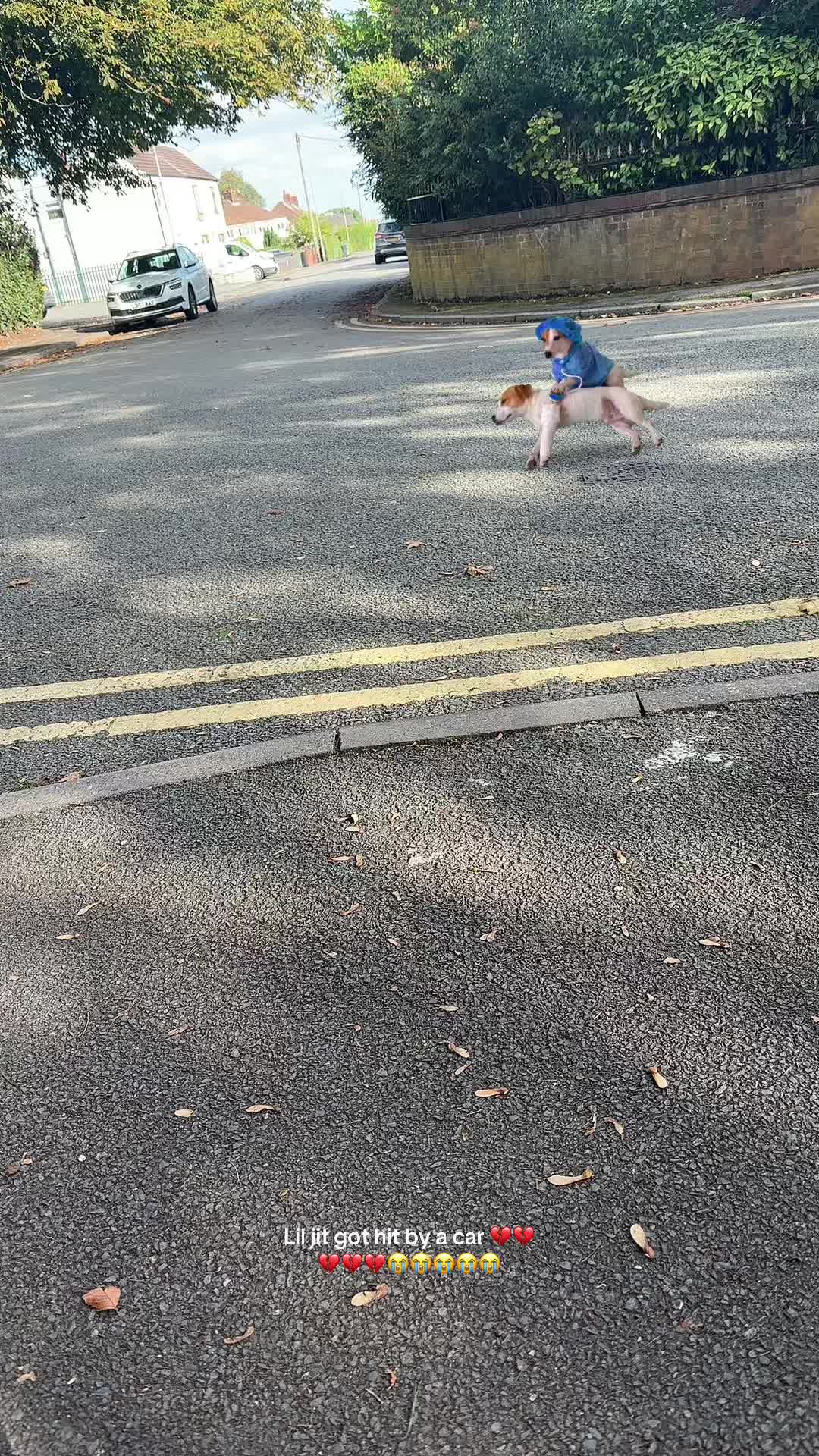 @A