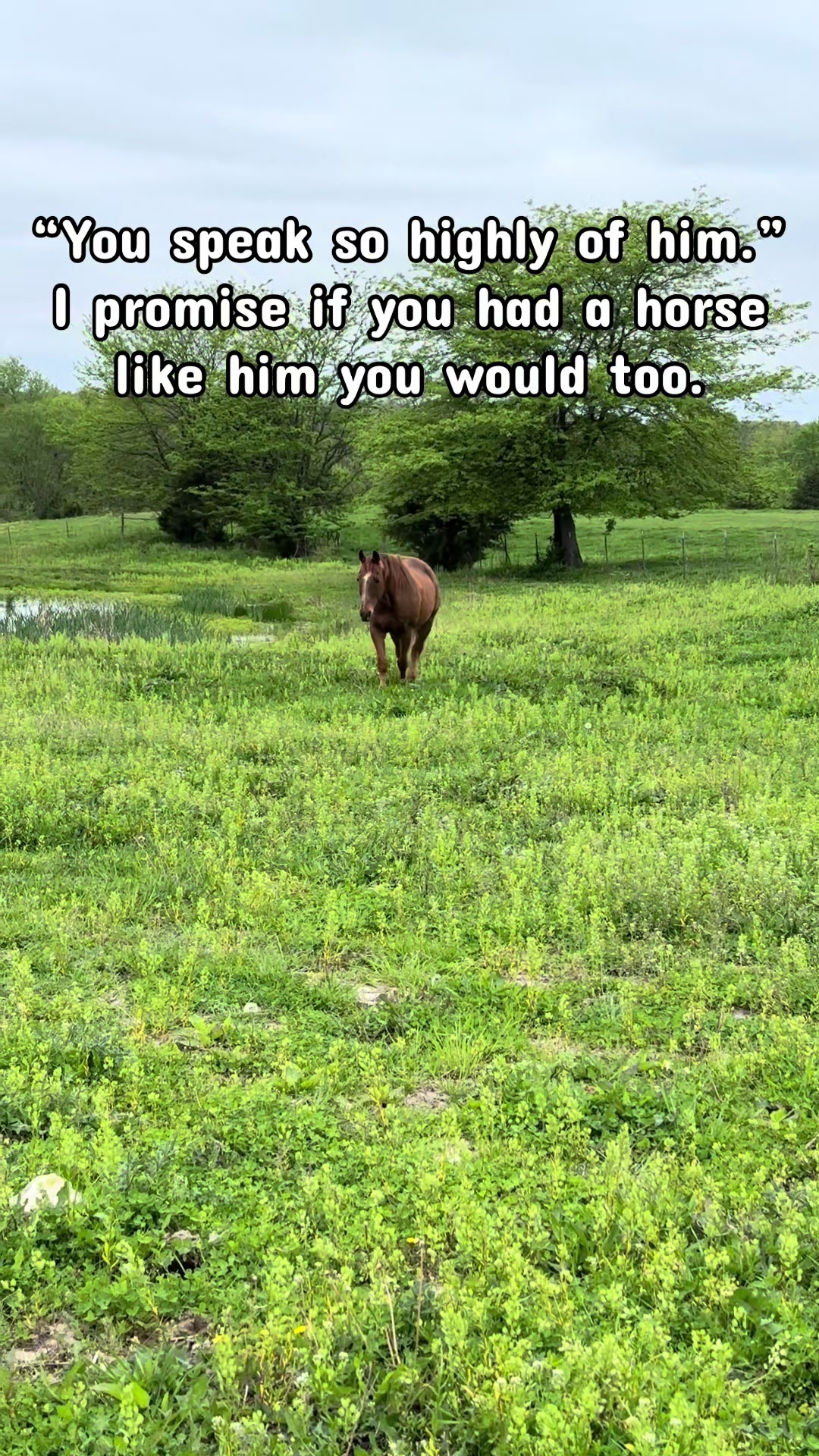 @Ashton Edwards