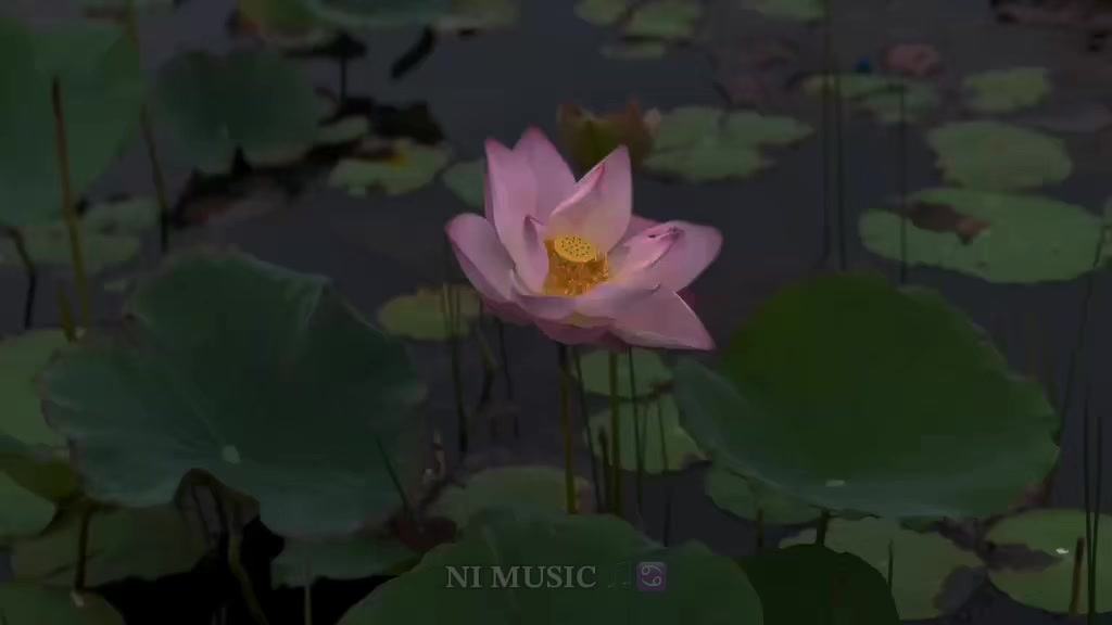 @๐๐ ๐๐๐๐๐ ๐ตโ
