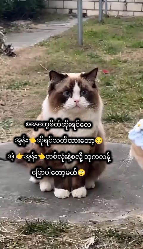 @🌹Yu Wai🌹