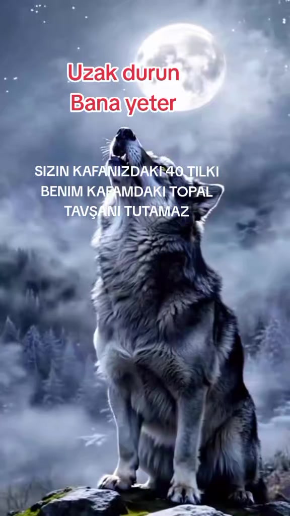 @🦁 SAKİN OLUN BEN GELDİM SLM🦁