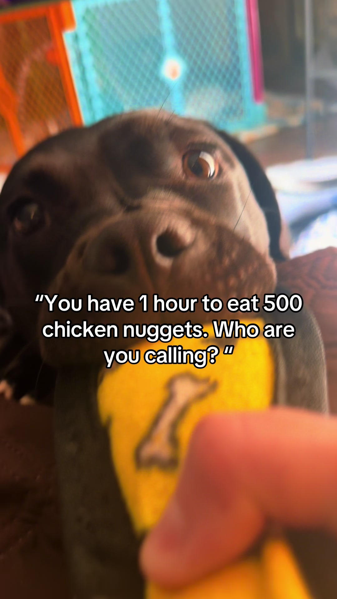 @SprinkleSprankles
