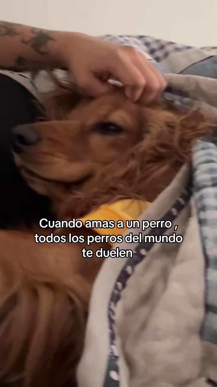 @Tatianna Cueva🩵