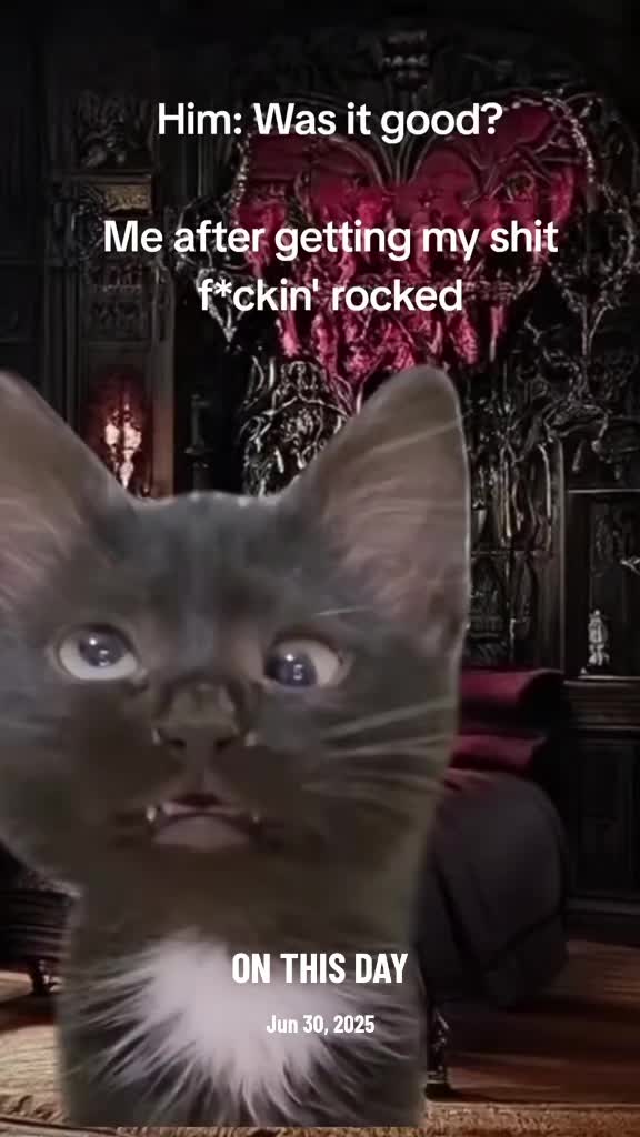 @Pssy_The_Cat
