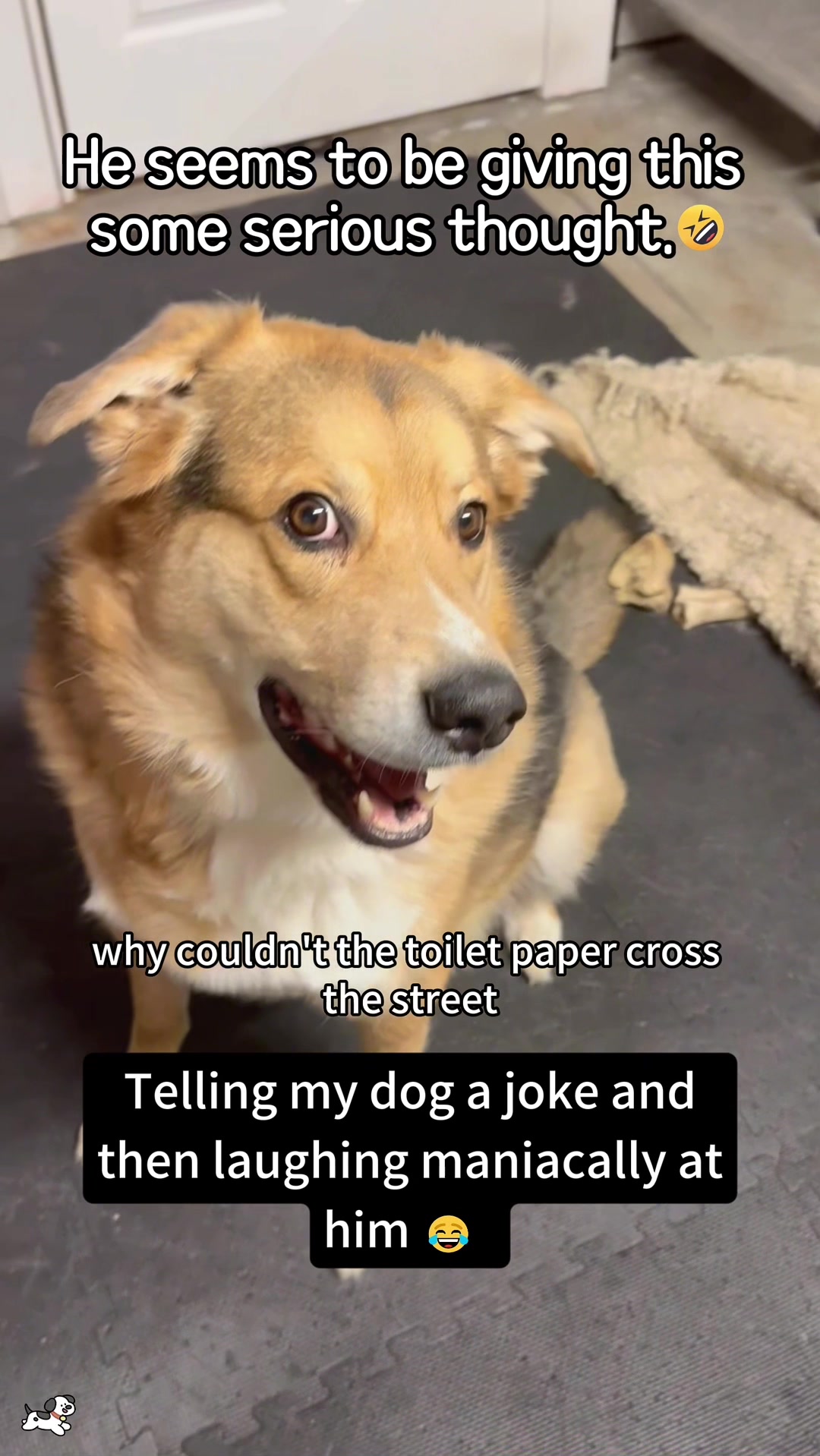 @SneakyFails