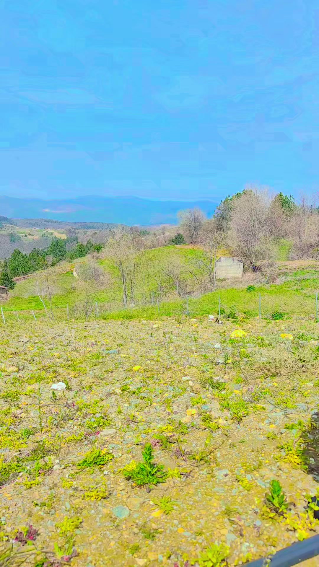 @ELÇİN İLYAS