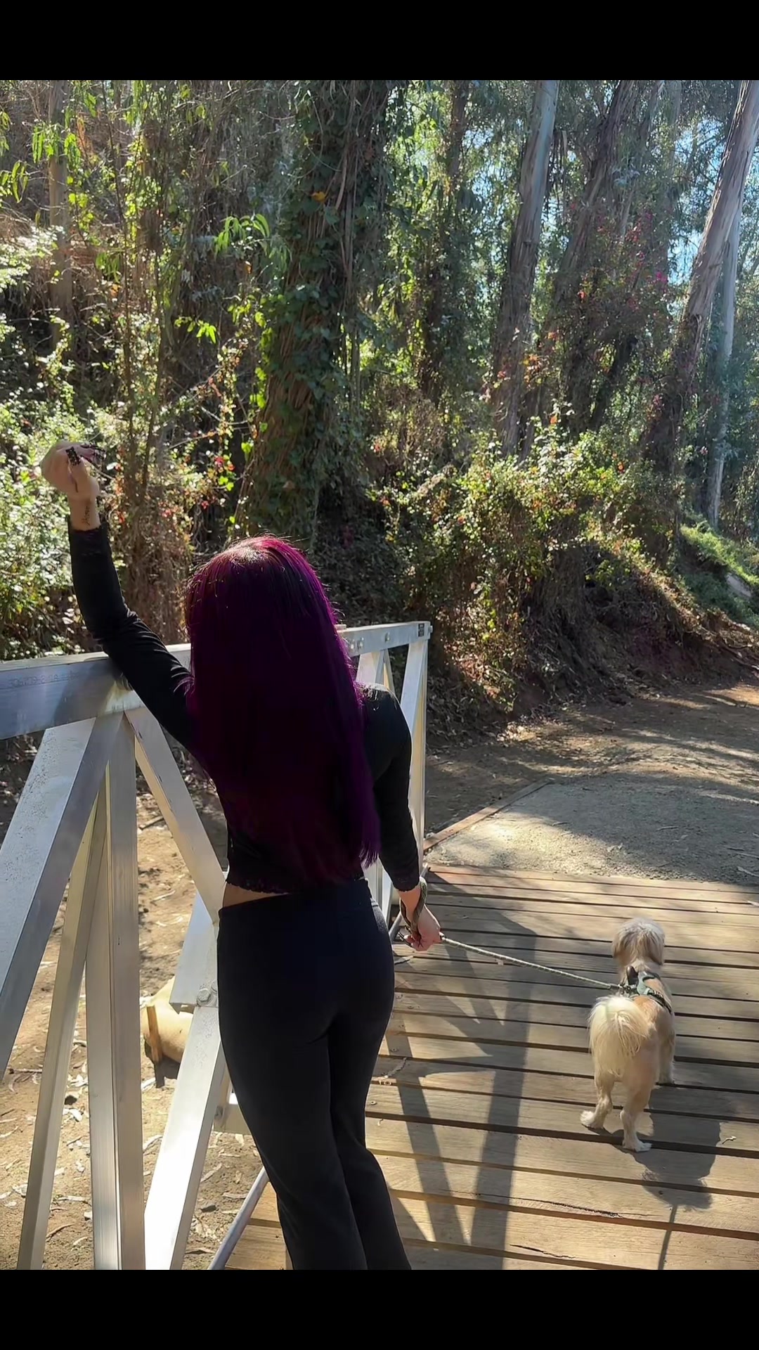 @aiyana 💜🪽