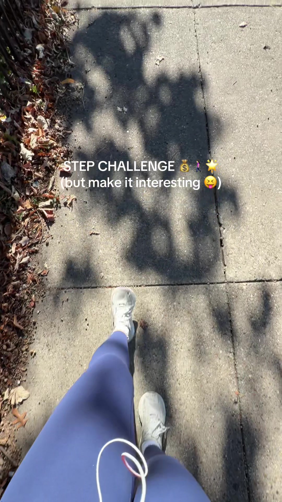 @ariifornaris