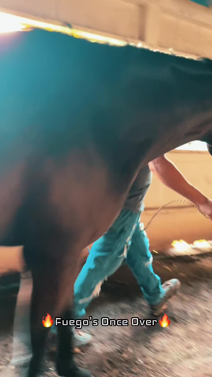 @Danigurl🦮🏇🌅