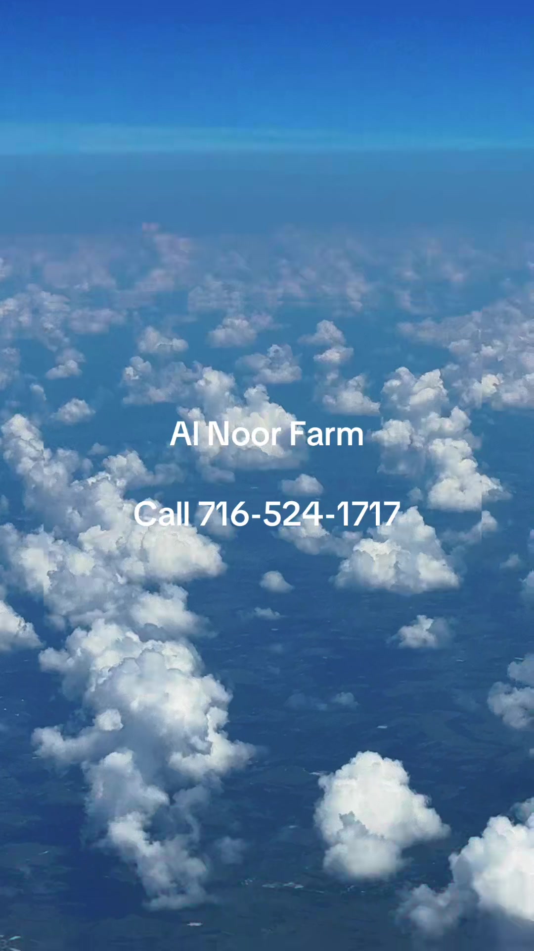 @Al Noor Farm, Lewiston N.Y.