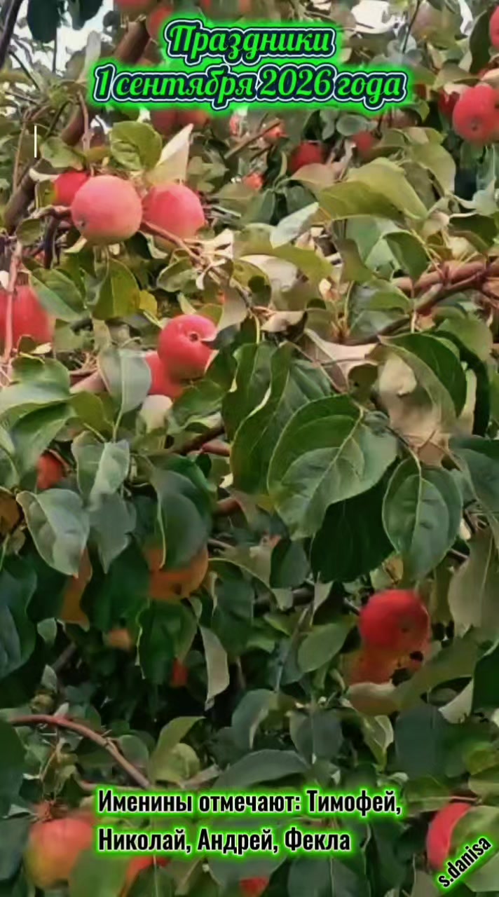 @💫Даниса💫