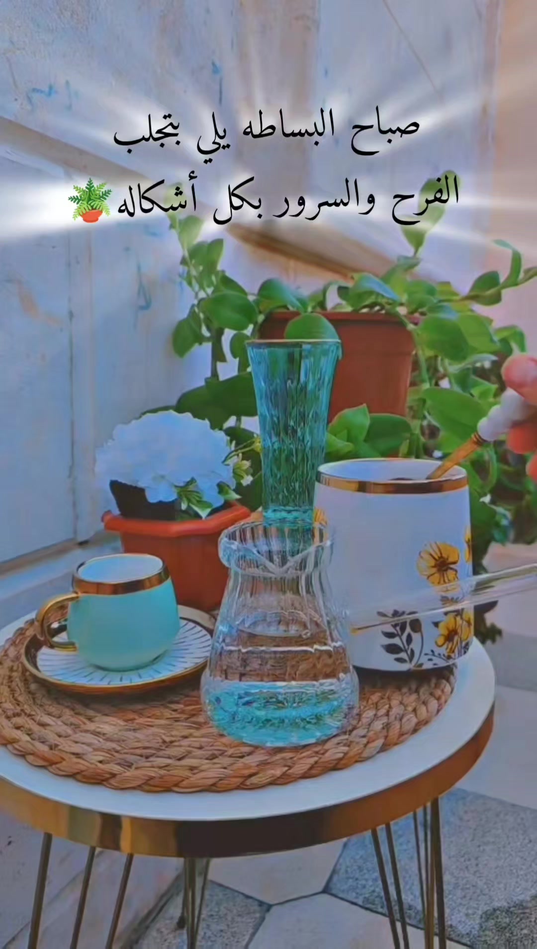 @عبير الورد🍃❤️